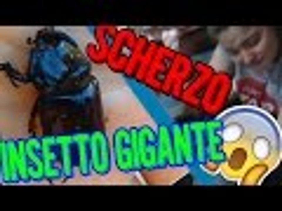 SCHERZO A MIA SORELLA | INSETTO GIGANTE