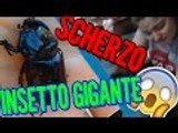 SCHERZO A MIA SORELLA | INSETTO GIGANTE