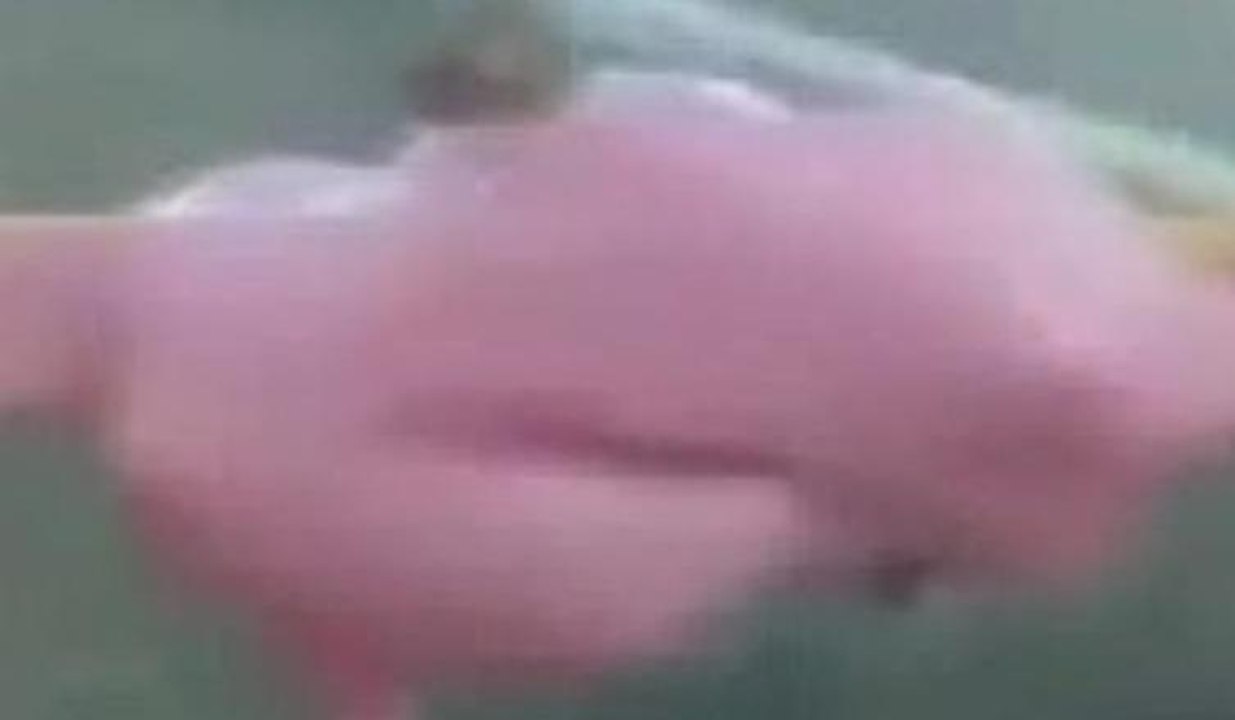 Dondurmasından çıkanı görünce şoke oldu