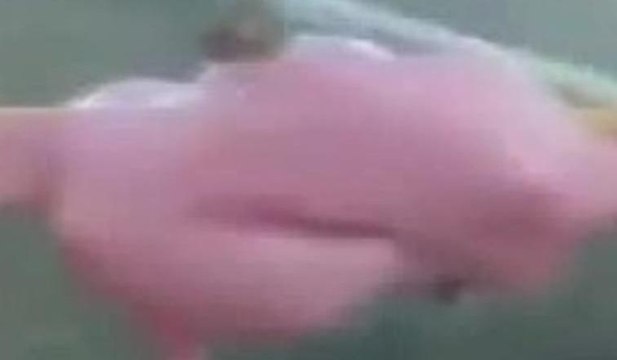 Dondurmasından çıkanı görünce şoke oldu