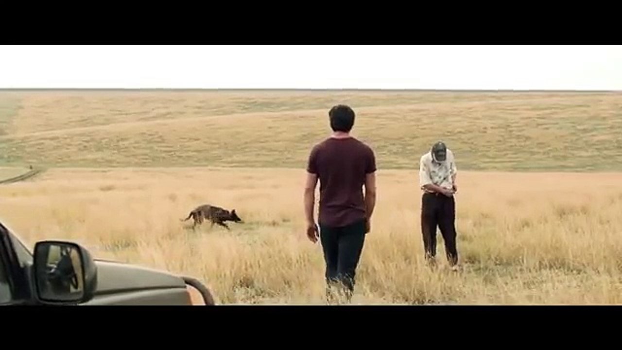 Dogs - Fragman