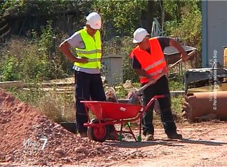 Info 7 - pregled nedelje, 4. septembar 2016. (RTV Bor)
