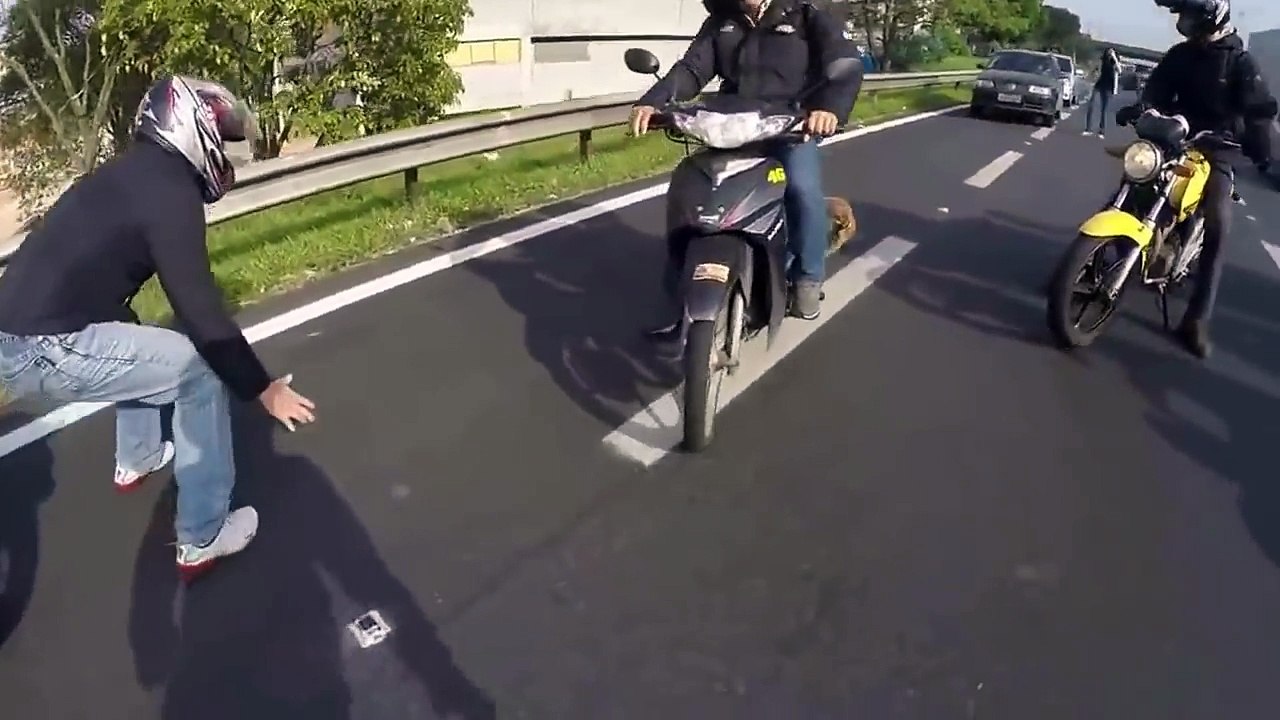 Un groupe de motards bloquent la route pour sauver la vie à un pauvre petit chien