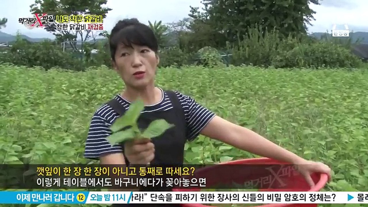 먹거리 X파일.E231.160904 2