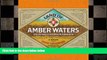 there is  Land of Amber Waters: The History of Brewing in Minnesota