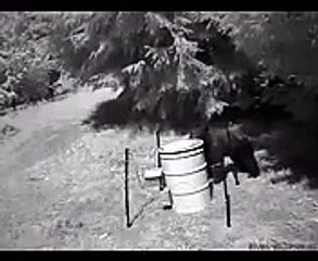 220 Volt Elektrikli Çit İle Ayıların Testi