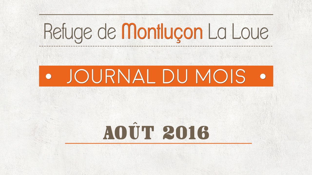 Un mois au refuge : août 2016