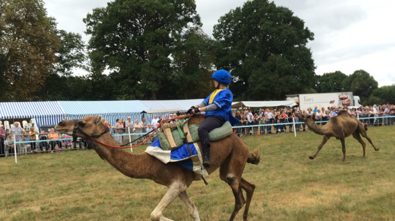 Pays de Vitré. Trois jours de fête sous le signe de l'Orient