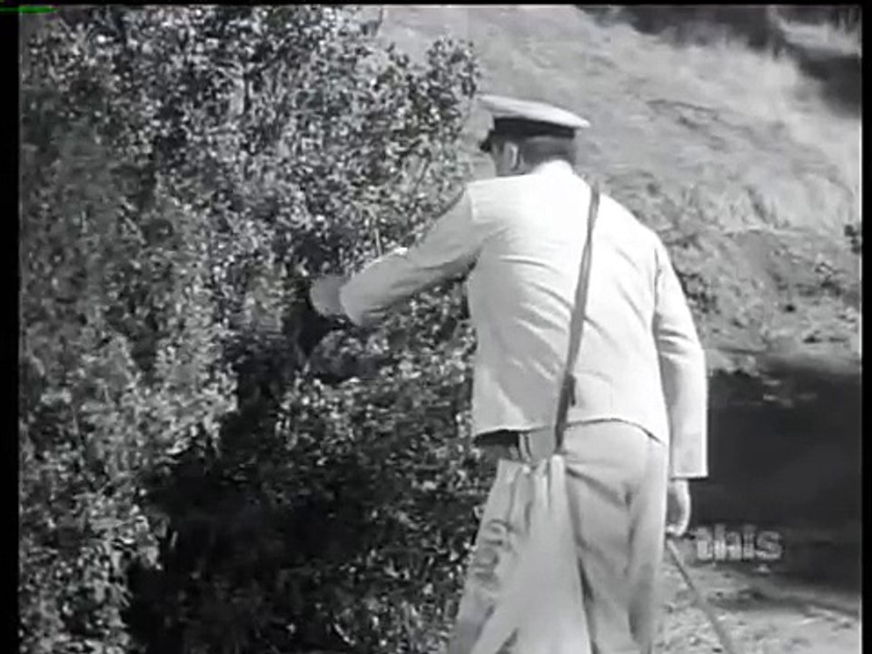 Mister Ed S6 | Ed The Counterspy