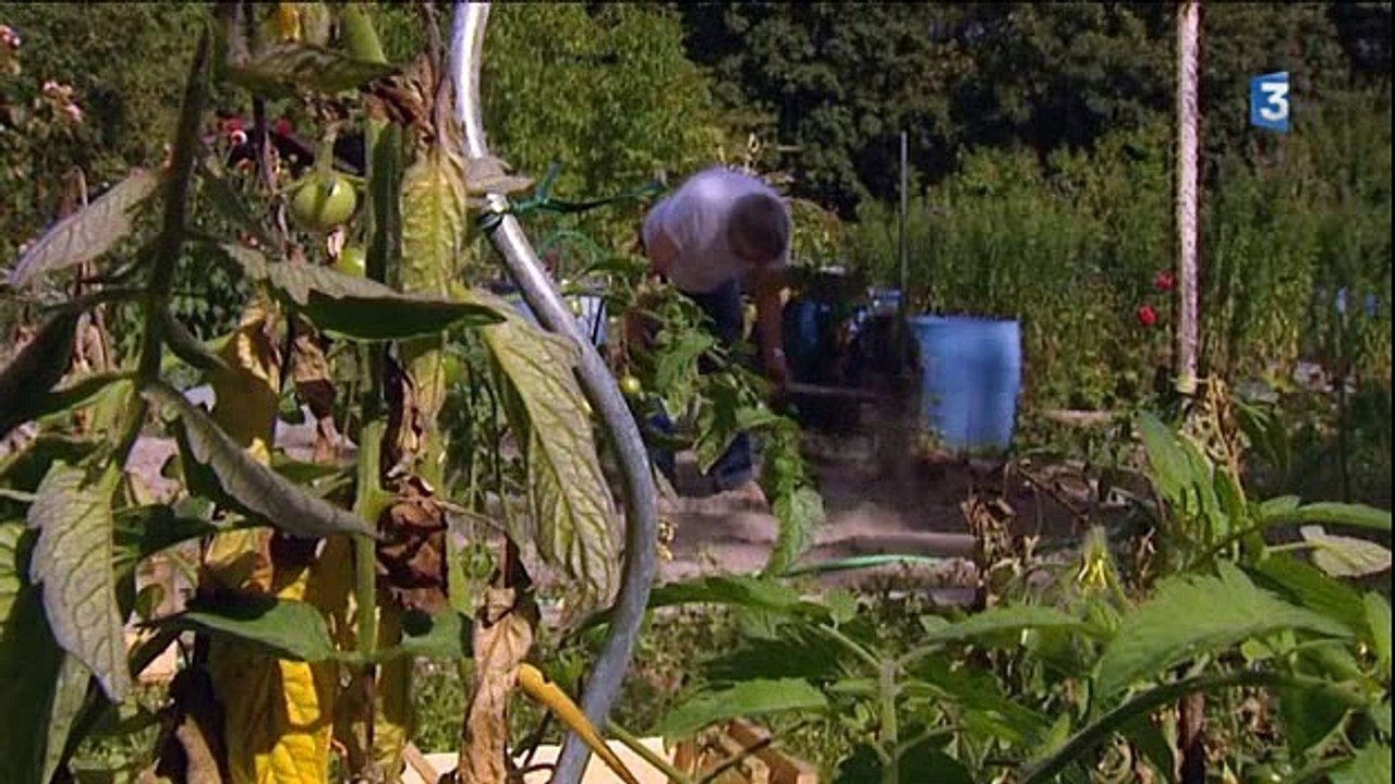 Sale temps pour les jardins associatifs - Reims