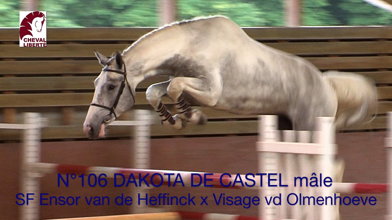 Dakota de castel