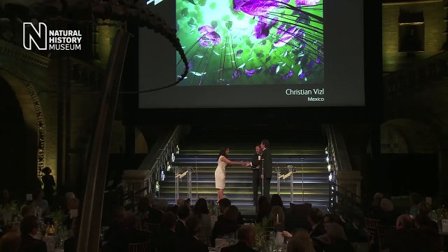 A seulement 9 ans, il remporte le premier prix de la photo animalière du Musée d'Histoire Naturelle de Londres !