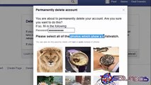 How To Delete Facebook Account Permanently By Paul Hacker - YouTube