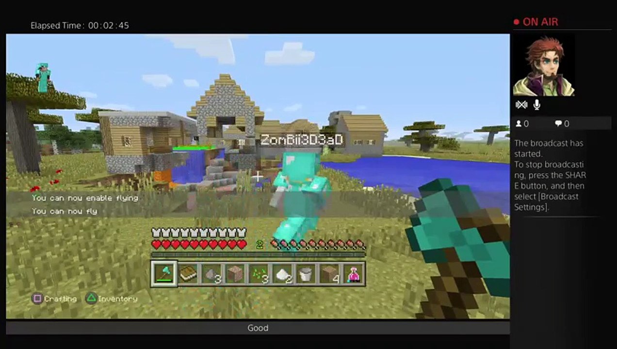 Playingminecraft (17)