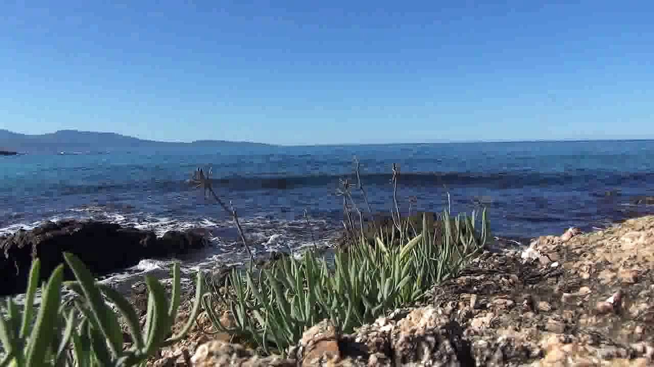 mer corse