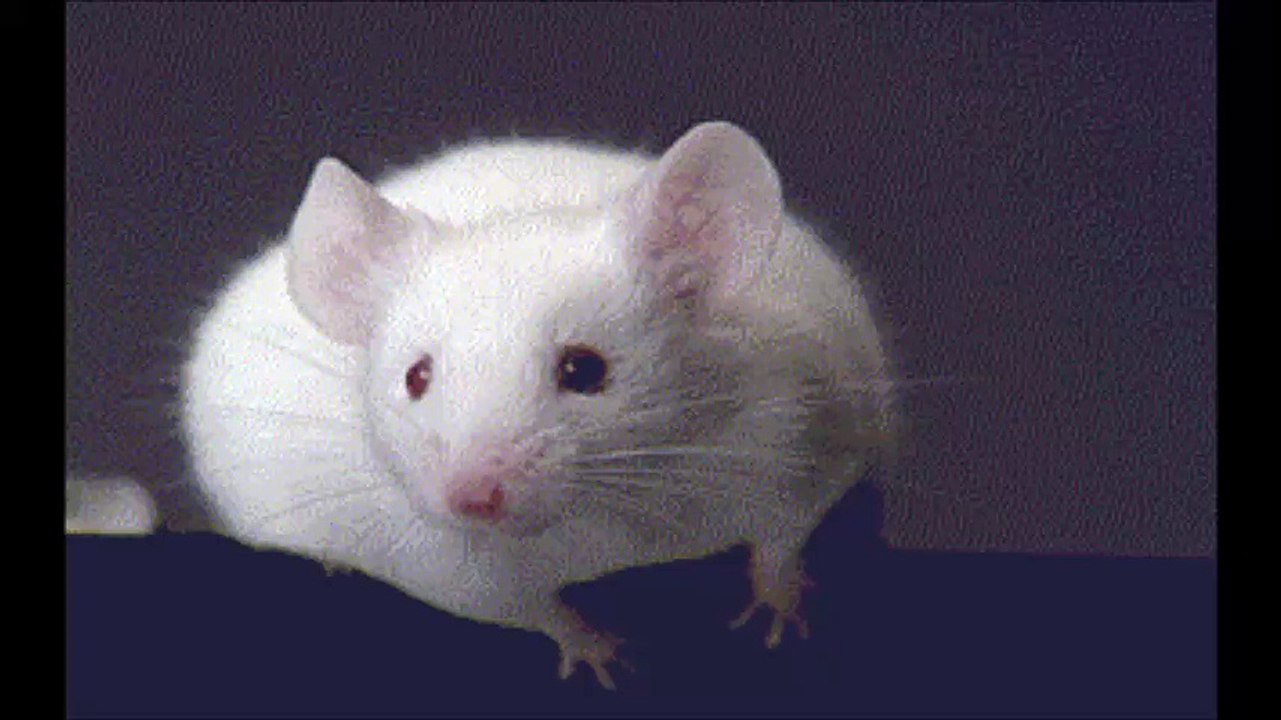 Souris-moi