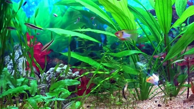 Подводный мир Underwater world