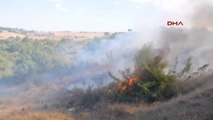 Tekirdağ Anız Yangını Ormana Sıçradı: 100 Dönüm Ormanlık Alan Kül Oldu