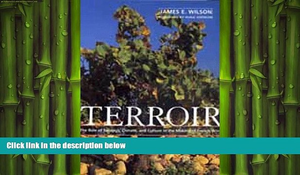 there is Terroir: The Role of Geology, Climate, and Culture in the Making of French Wines