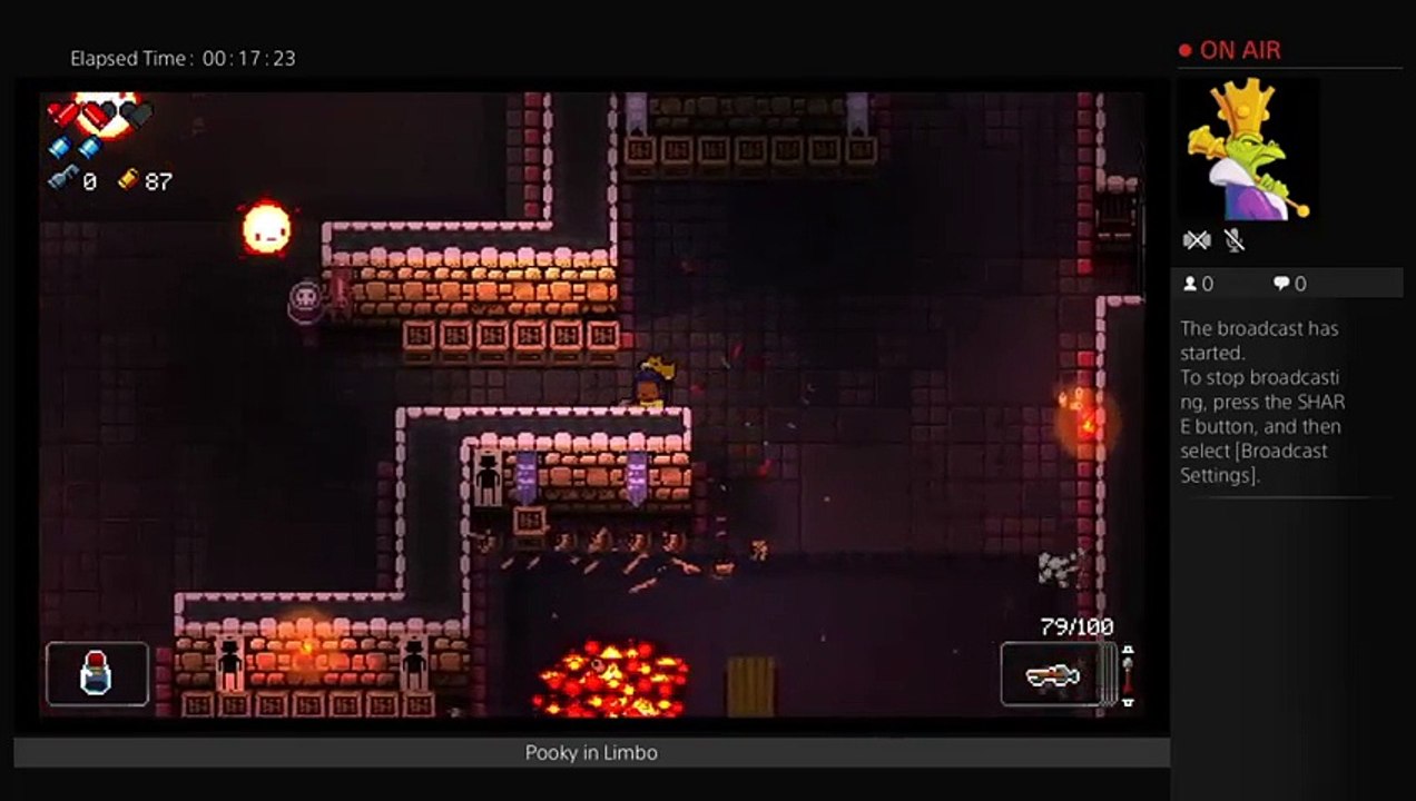 Enter The Gungeon (2)