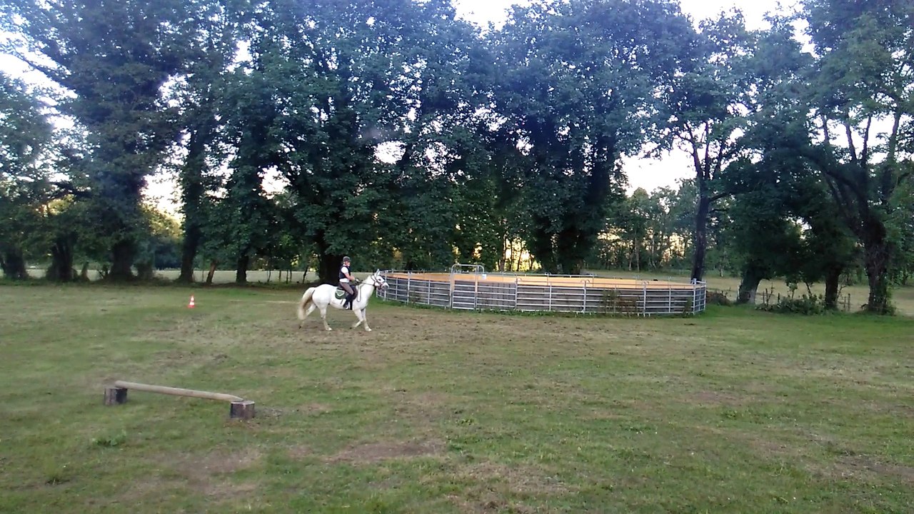 Saut d'obstacle