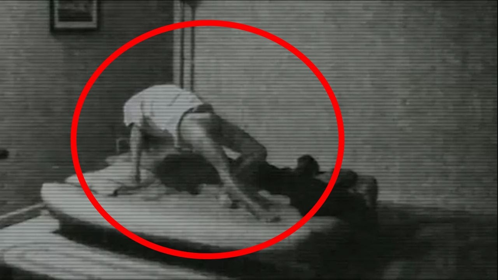 5 Avvistamenti di fantasmi ripresi in telecamera [PARANORMAL] - Video  Dailymotion, image size:1920x1080