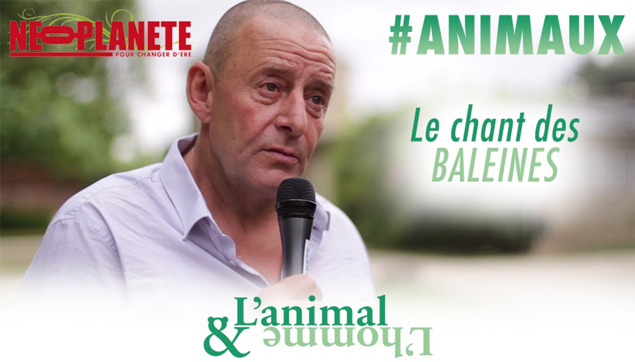 [L'animal&L'homme] Musique, mémoire, cosmétique, miel…. tout est dans le chant des baleines