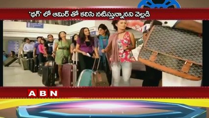 Amitabh Bachchan, Aamir Khan to work together for first time in Yash Raj next Thug