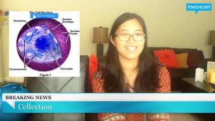 Cell Project (Abby & Derin)