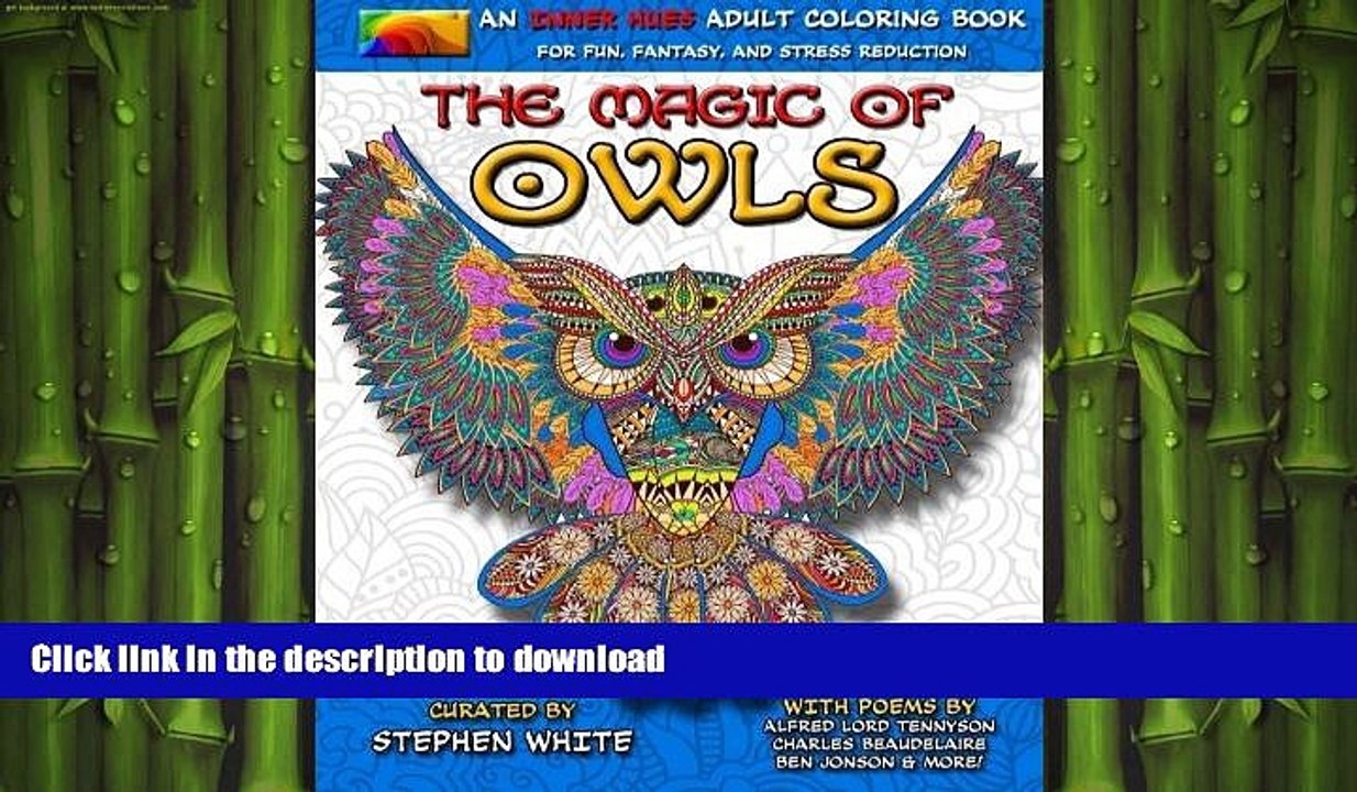 READ  The Magic of Owls - An Inner Hues Adult Coloring Book: Fun, Fantasy, and Stress Reduction