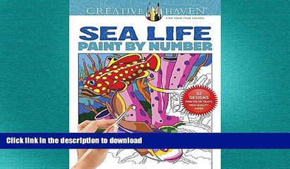 GET PDF  Creative Haven Sea Life Paint by Number (Adult Coloring)  GET PDF