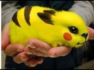 Top 10 Magic Trick - Funny videos 2016 [POKEMON GO]