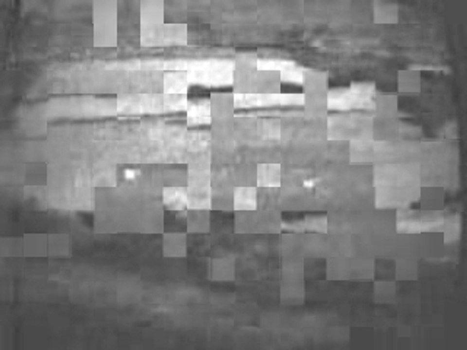Ufocrops