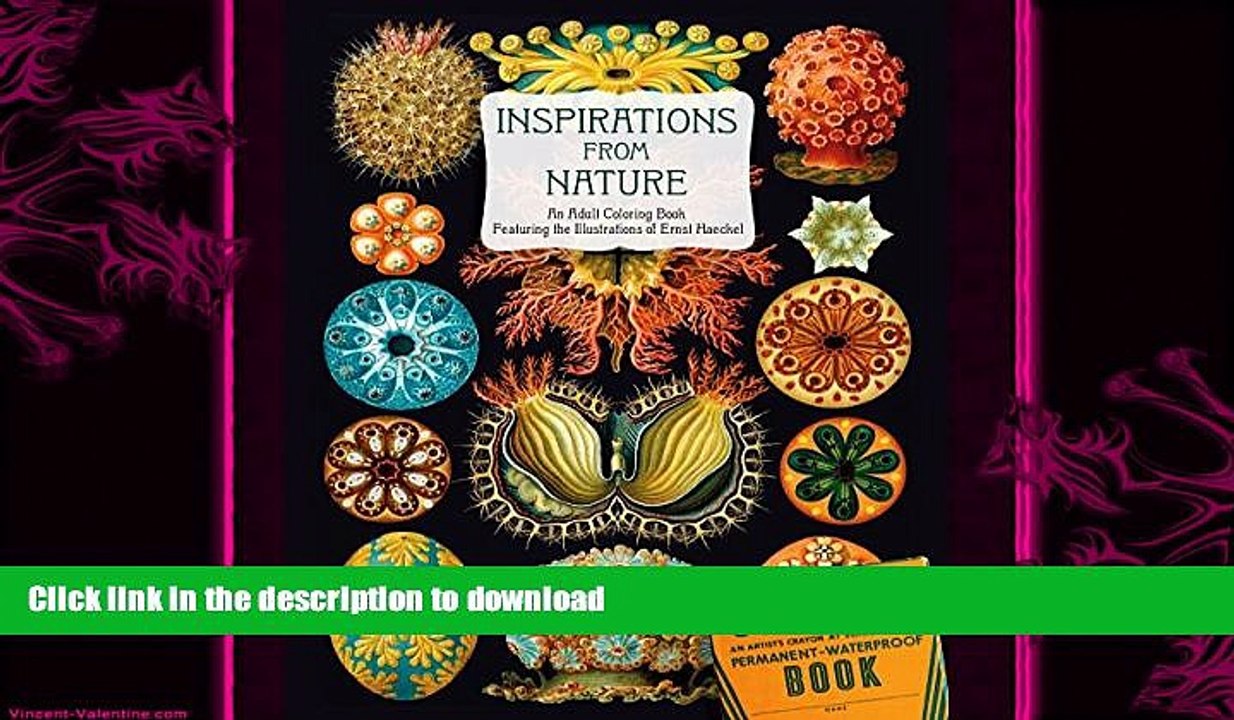 READ  Inspirations from Nature: An Adult Coloring Book Featuring the Illustrations of Ernst