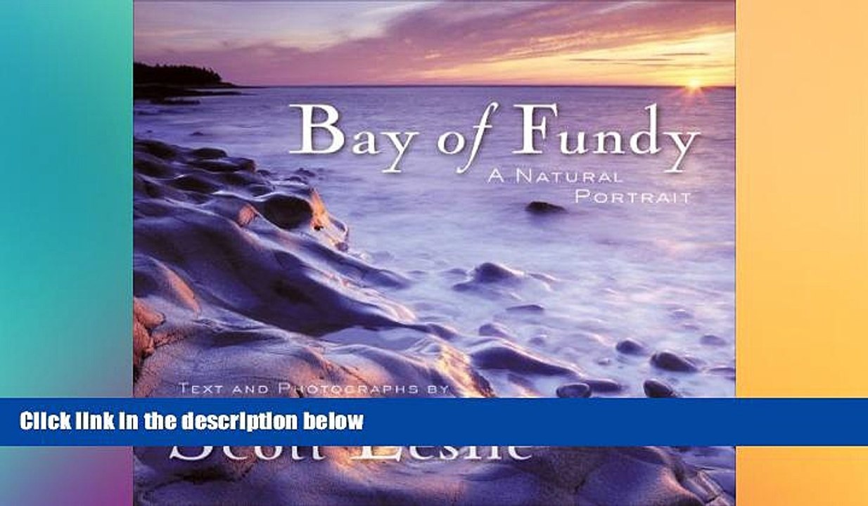 FREE PDF  Bay of Fundy: A Natural Portrait  BOOK ONLINE