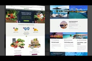 Top Web Design Company in India