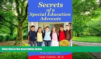 Big Deals  Secrets of a Special Education Advocate: Supercharge Your Child s Special Ed IEP So