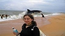 Tiburón se come a Hombre en plena orilla