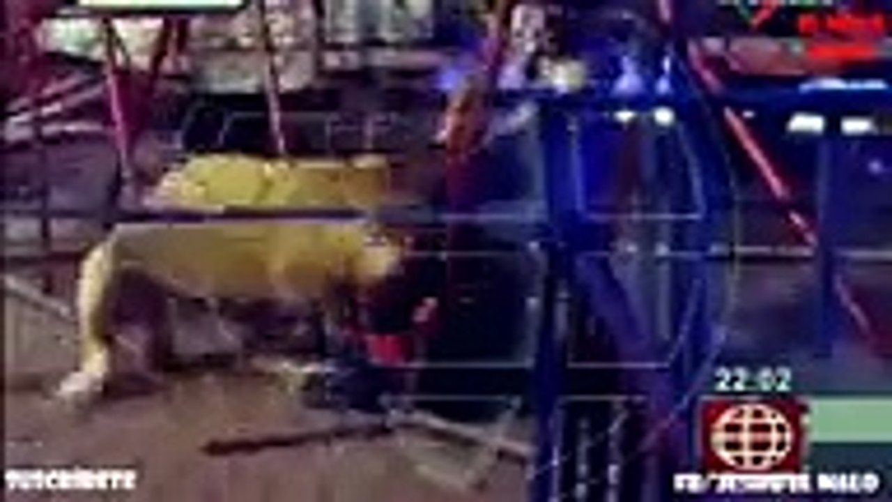 Los 10 ataques de leones a humanos más aterradores