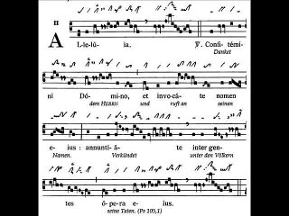Alleluia Confitemini Domino, Dominica XXV TpA (25 TO)