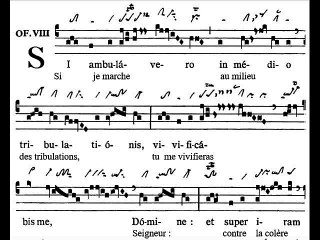 Offertorium Si ambulavero, Dominica XXV TpA (25 TO)