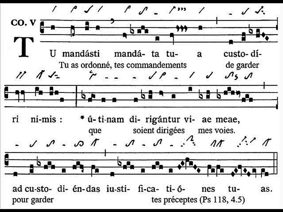 Communio Tu mandasti, Dominica XXV TpA (25 TO)