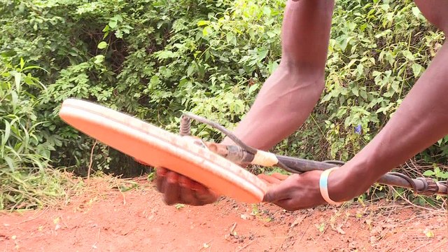 Côte d'Ivoire: des plantations détruites par les chercheurs d'or