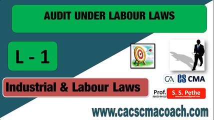 A01=ILGL=19= Audit under labour laws = D
