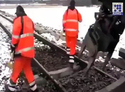 ریل کی پٹریاں کیسے تبدیل ہوتی ہیں دیکھیں اس وڈیو میں