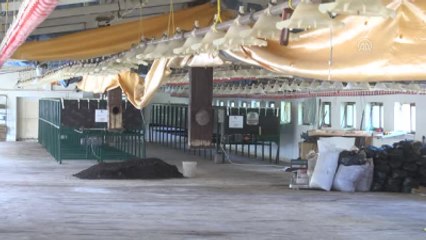 Fotoğrafına Bile Bakamadığı Solucanlar Ekmek Kapısı Oldu