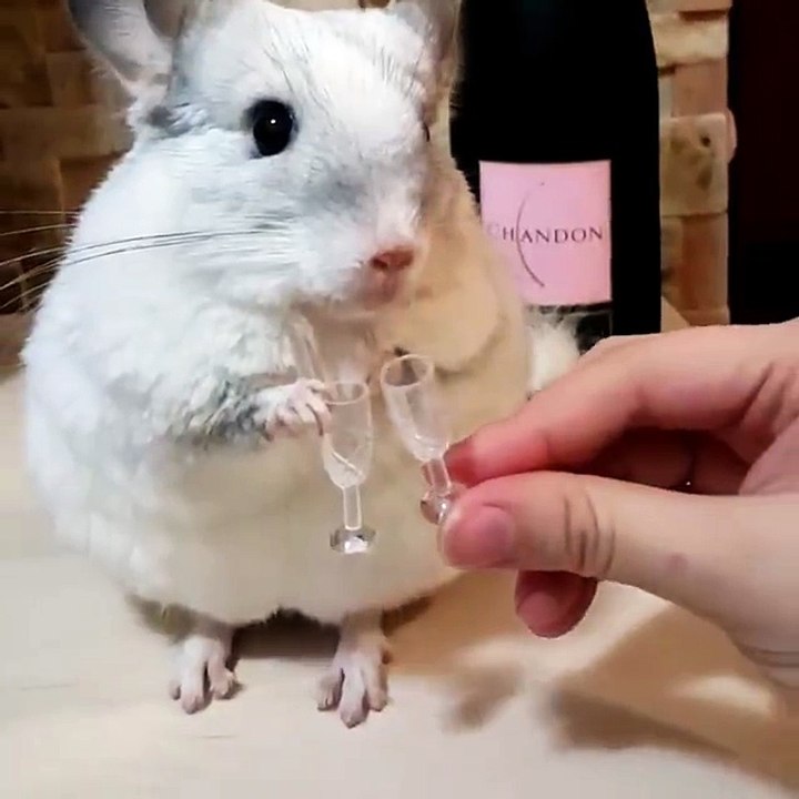 Cheers!