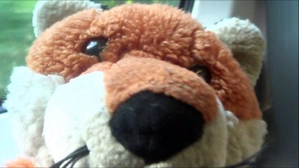Foxy on Southeastern High Speed class 395 on the journey to Ashford Station