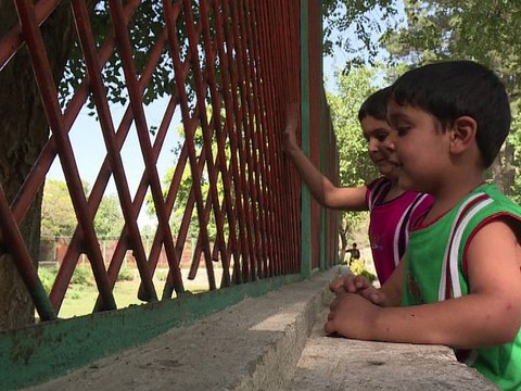 Le zoo de Kaboul rugit encore, malgré la guerre en Afghanistan