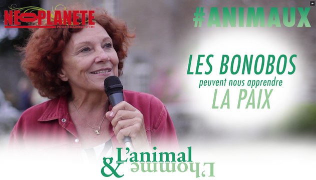 [L'animal&L'homme] On a beaucoup à apprendre des bonobos, notamment la Paix